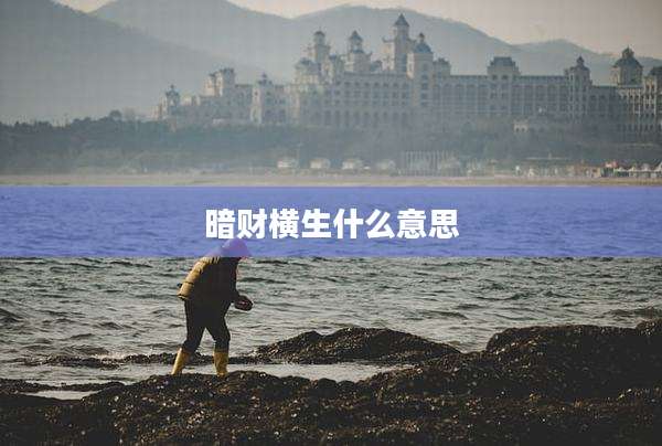 暗财横生什么意思