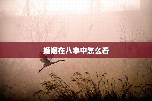 婚姻在八字中怎么看