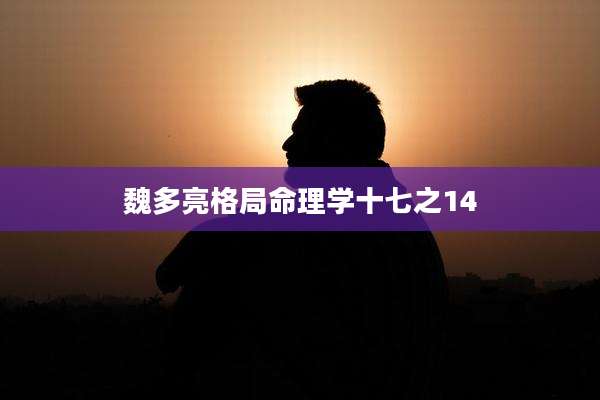 魏多亮格局命理学十七之14
