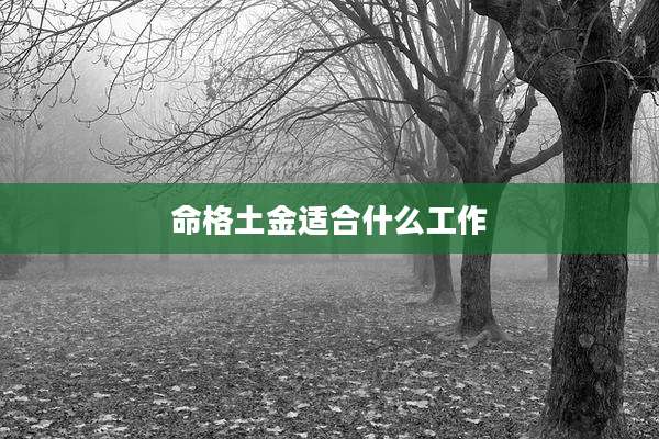 命格土金适合什么工作