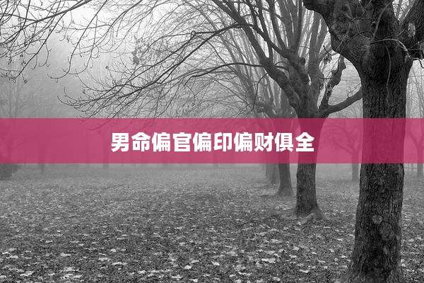 男命偏官偏印偏财俱全