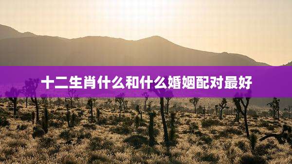 十二生肖什么和什么婚姻配对最好