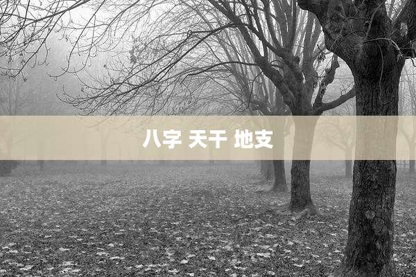 八字 天干 地支