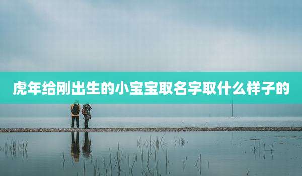 虎年给刚出生的小宝宝取名字取什么样子的
