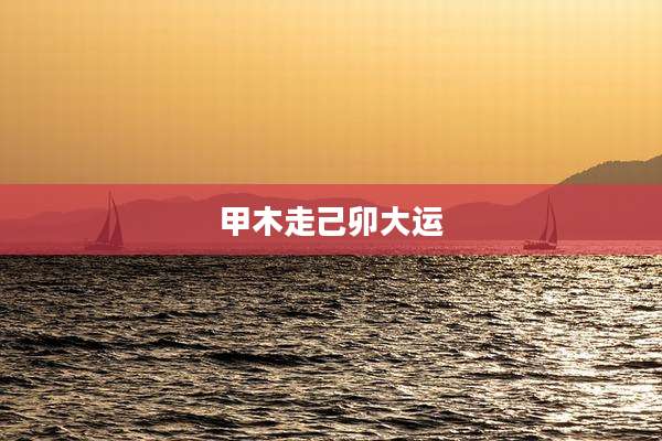 甲木走己卯大运