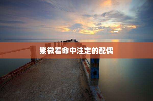 紫微看命中注定的配偶