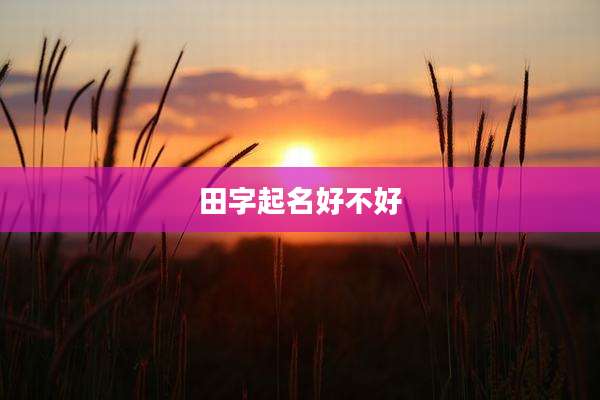 田字起名好不好