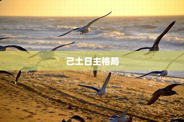己土日主格局