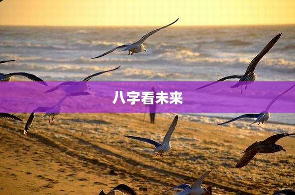 八字看未来