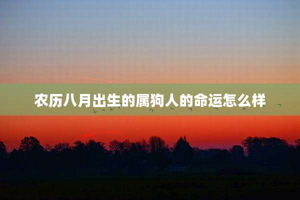 农历八月出生的属狗人的命运怎么样