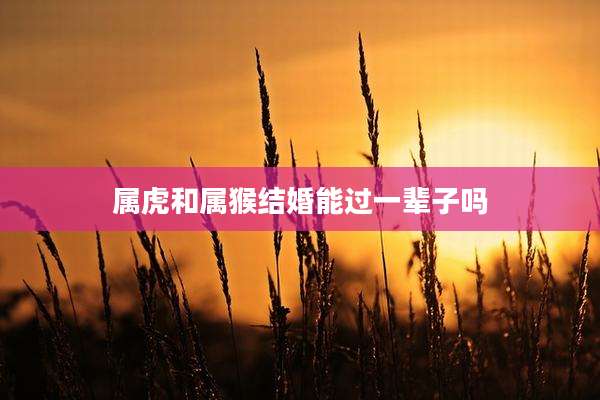 属虎和属猴结婚能过一辈子吗