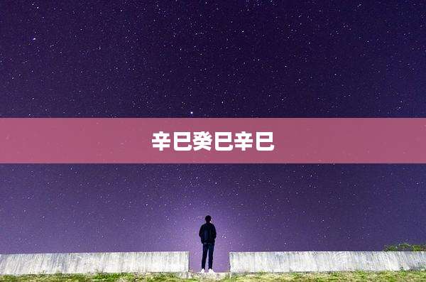 辛巳癸巳辛巳