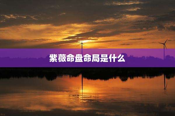 紫薇命盘命局是什么