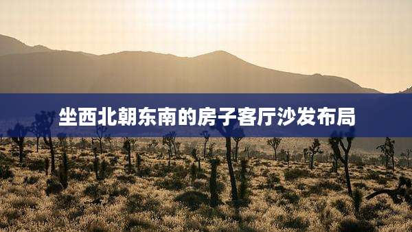 坐西北朝东南的房子客厅沙发布局