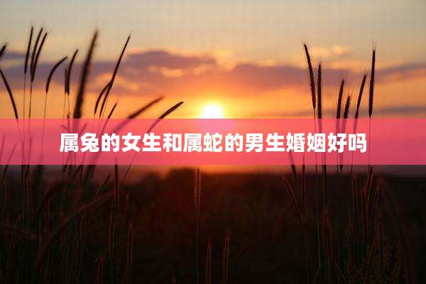 属兔的女生和属蛇的男生婚姻好吗