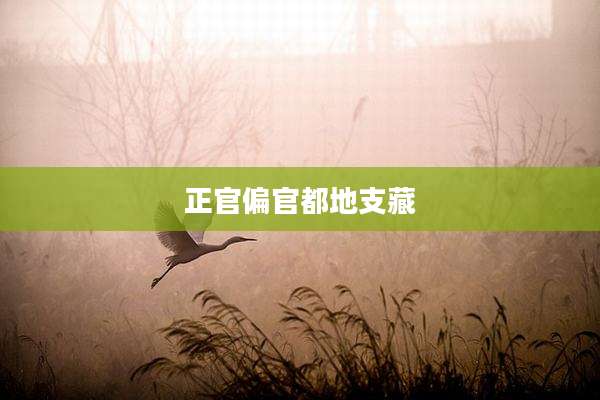 正官偏官都地支藏