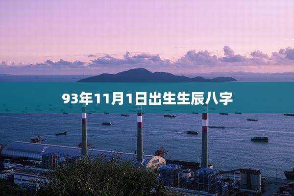 93年11月1日出生生辰八字