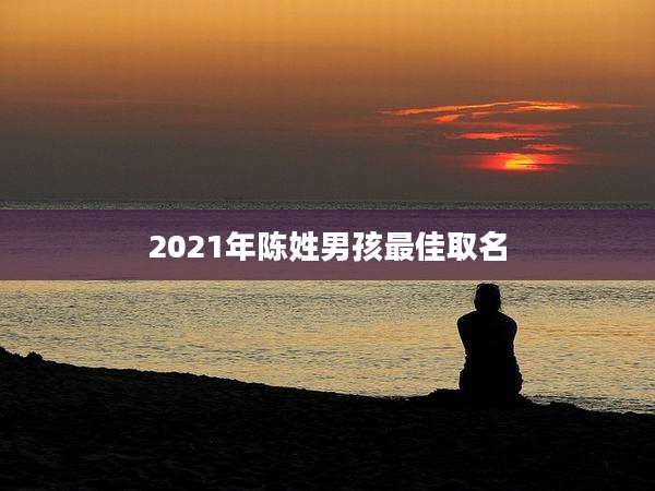 2021年陈姓男孩最佳取名