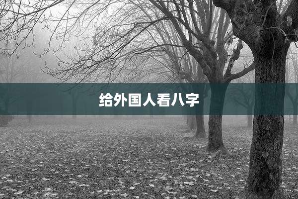 给外国人看八字