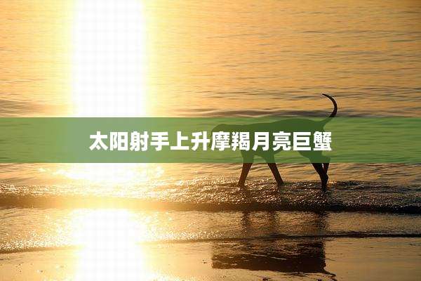 太阳射手上升摩羯月亮巨蟹