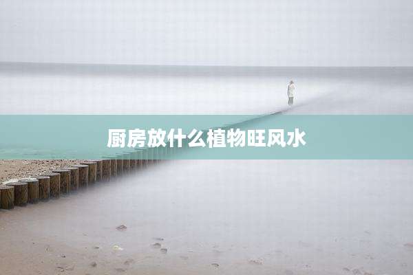 厨房放什么植物旺风水