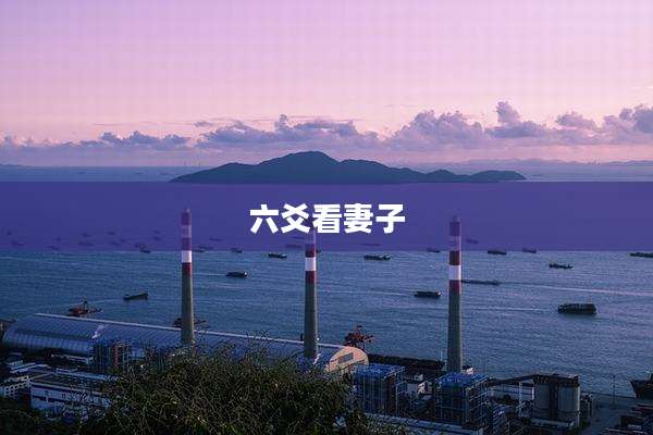 六爻看妻子