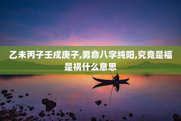 乙未丙子壬戌庚子,男命八字纯阳,究竟是福是祸什么意思