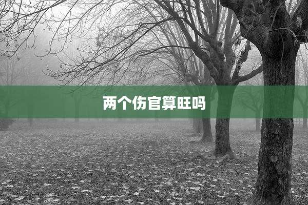 两个伤官算旺吗