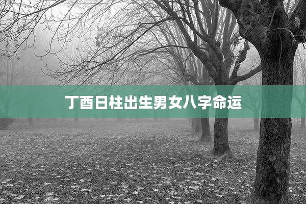 丁酉日柱出生男女八字命运