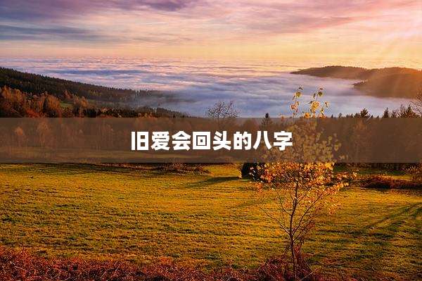 旧爱会回头的八字