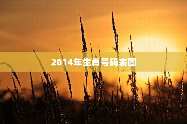 2014年生肖号码表图