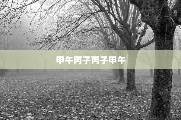 甲午丙子丙子甲午