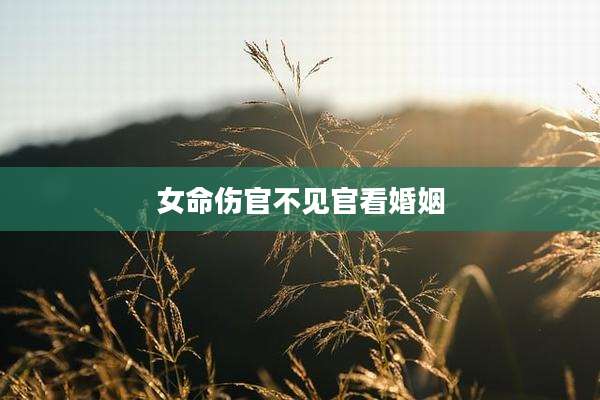女命伤官不见官看婚姻