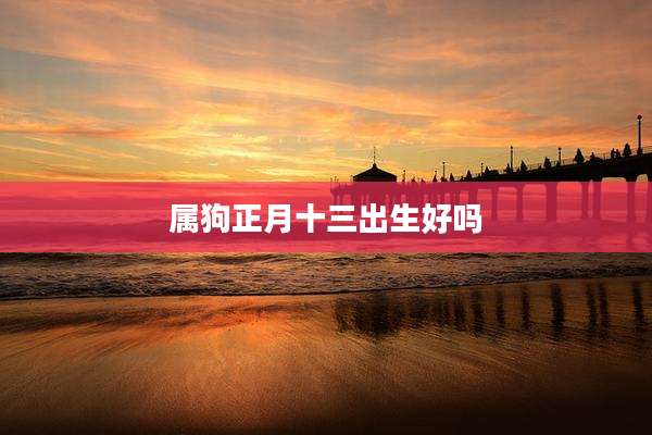 属狗正月十三出生好吗