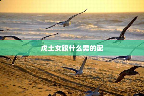 戊土女跟什么男的配