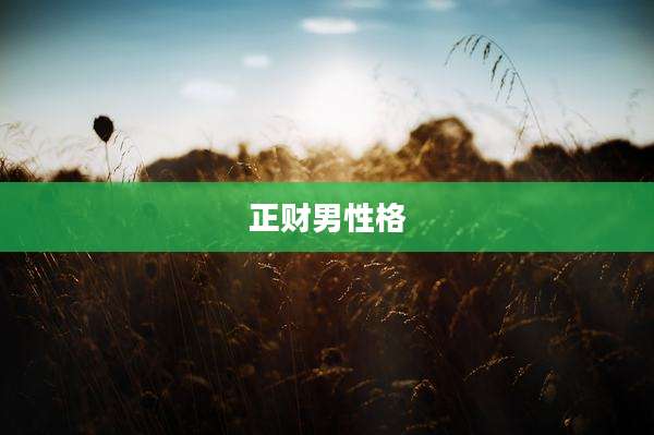 正财男性格