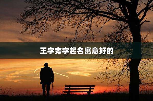王字旁字起名寓意好的