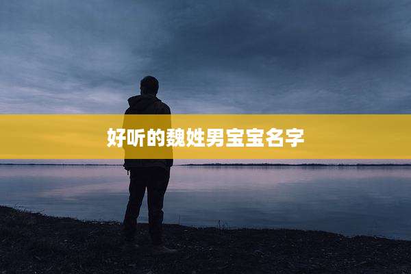 好听的魏姓男宝宝名字