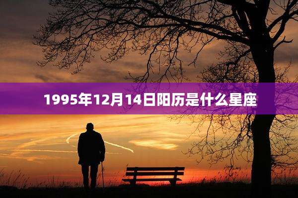 1995年12月14日阳历是什么星座