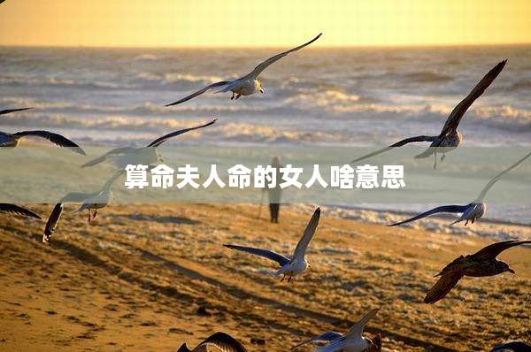算命夫人命的女人啥意思