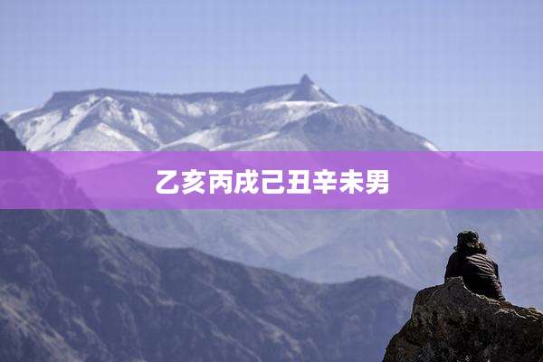乙亥丙戌己丑辛未男
