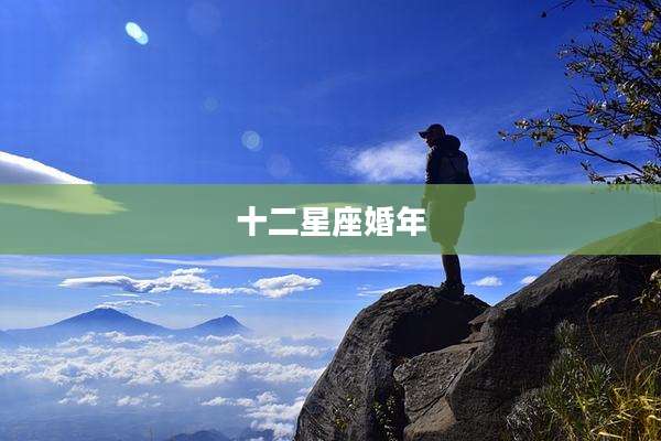 十二星座婚年