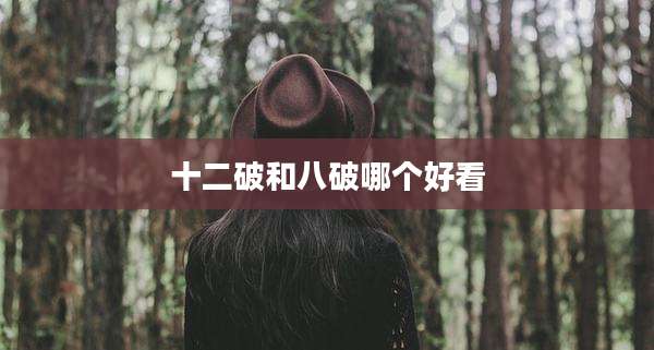 十二破和八破哪个好看