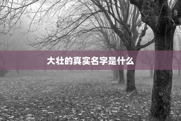 大壮的真实名字是什么
