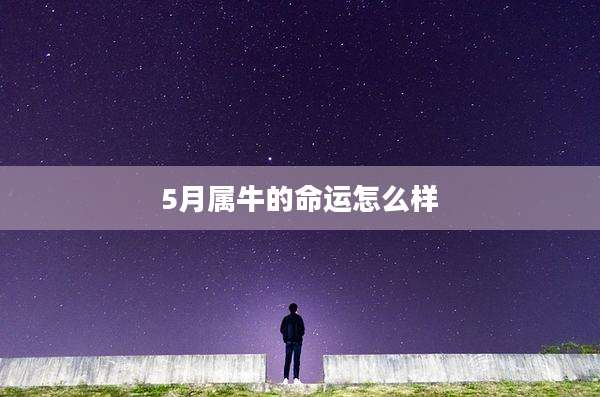 5月属牛的命运怎么样