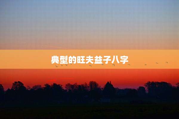典型的旺夫益子八字