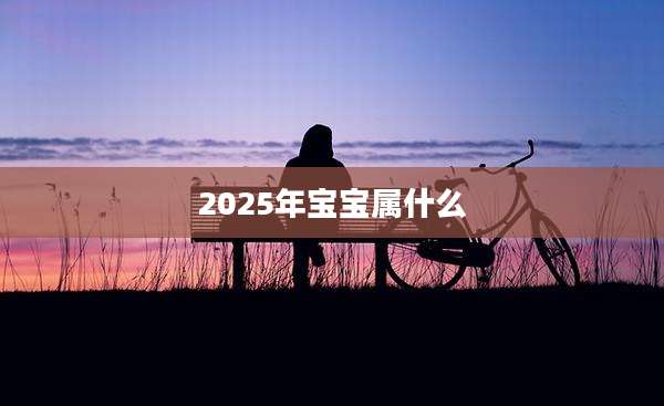 2025年宝宝属什么