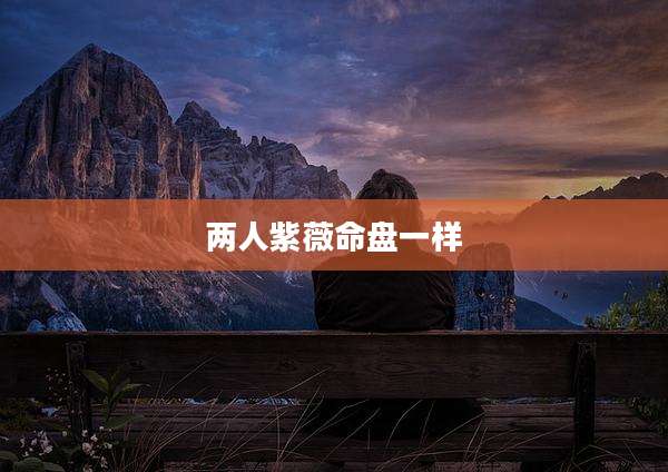 两人紫薇命盘一样