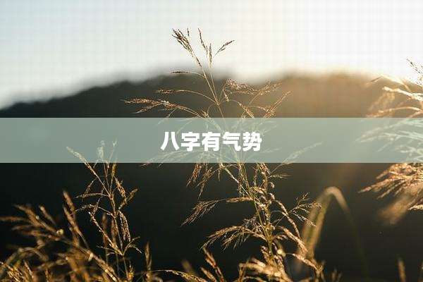 八字有气势
