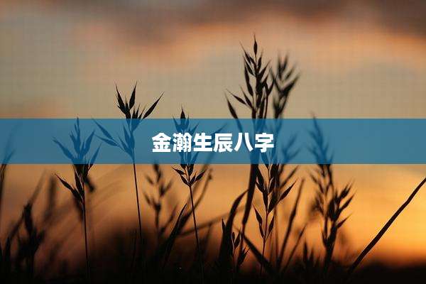 金瀚生辰八字